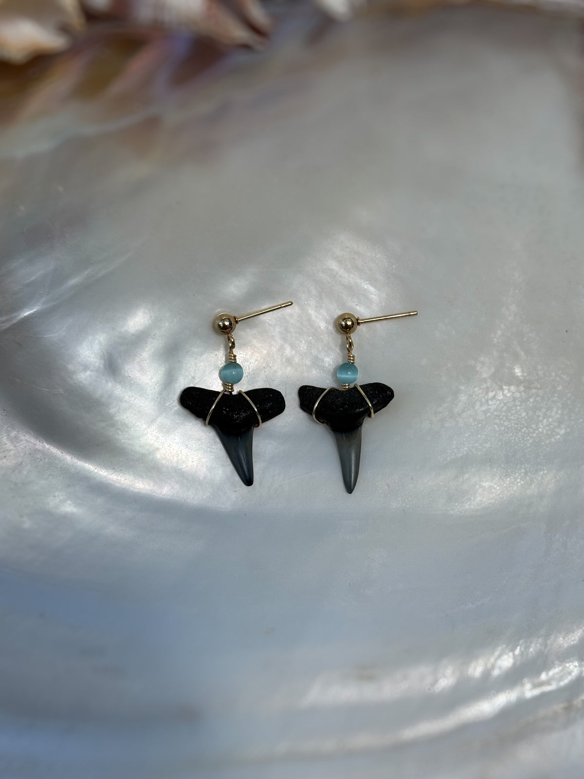 Aqua Cove Shark Tooth Earrings