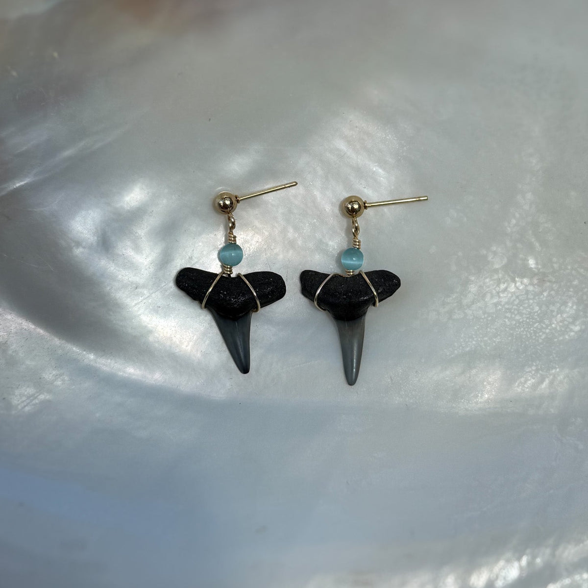 Aqua Cove Shark Tooth Earrings