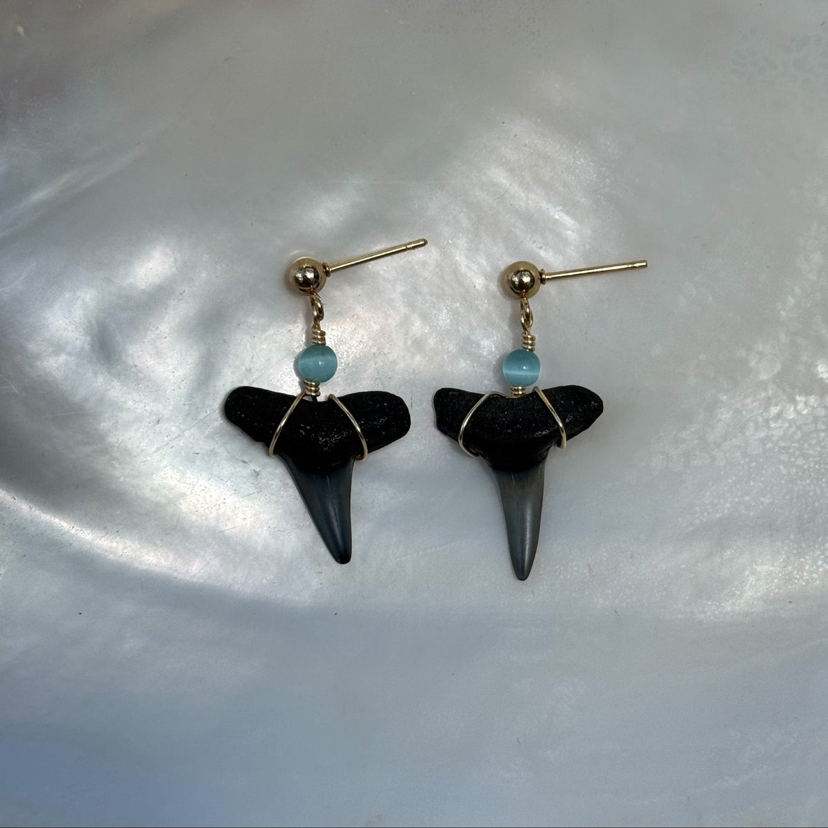 Aqua Cove Shark Tooth Earrings