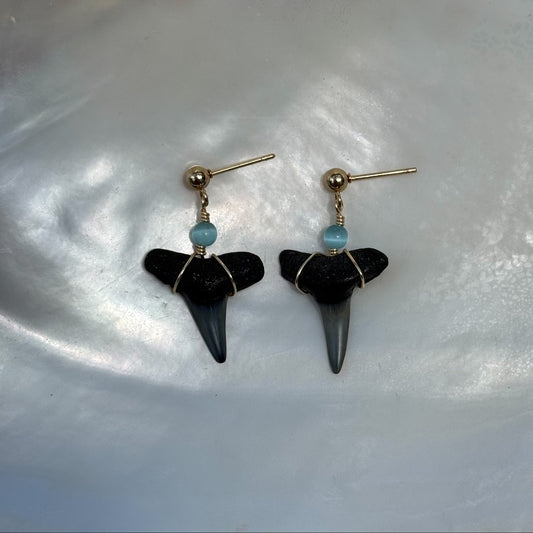 Aqua Cove Shark Tooth Earrings