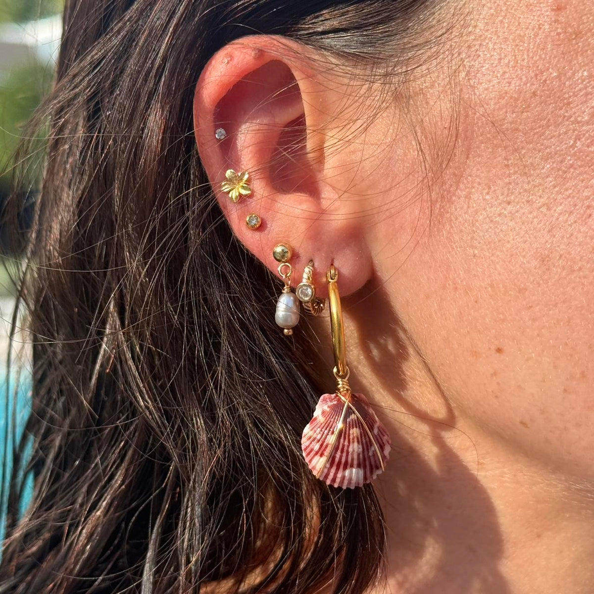 Burgundy scallop shell hoop earring close-up in gold tone