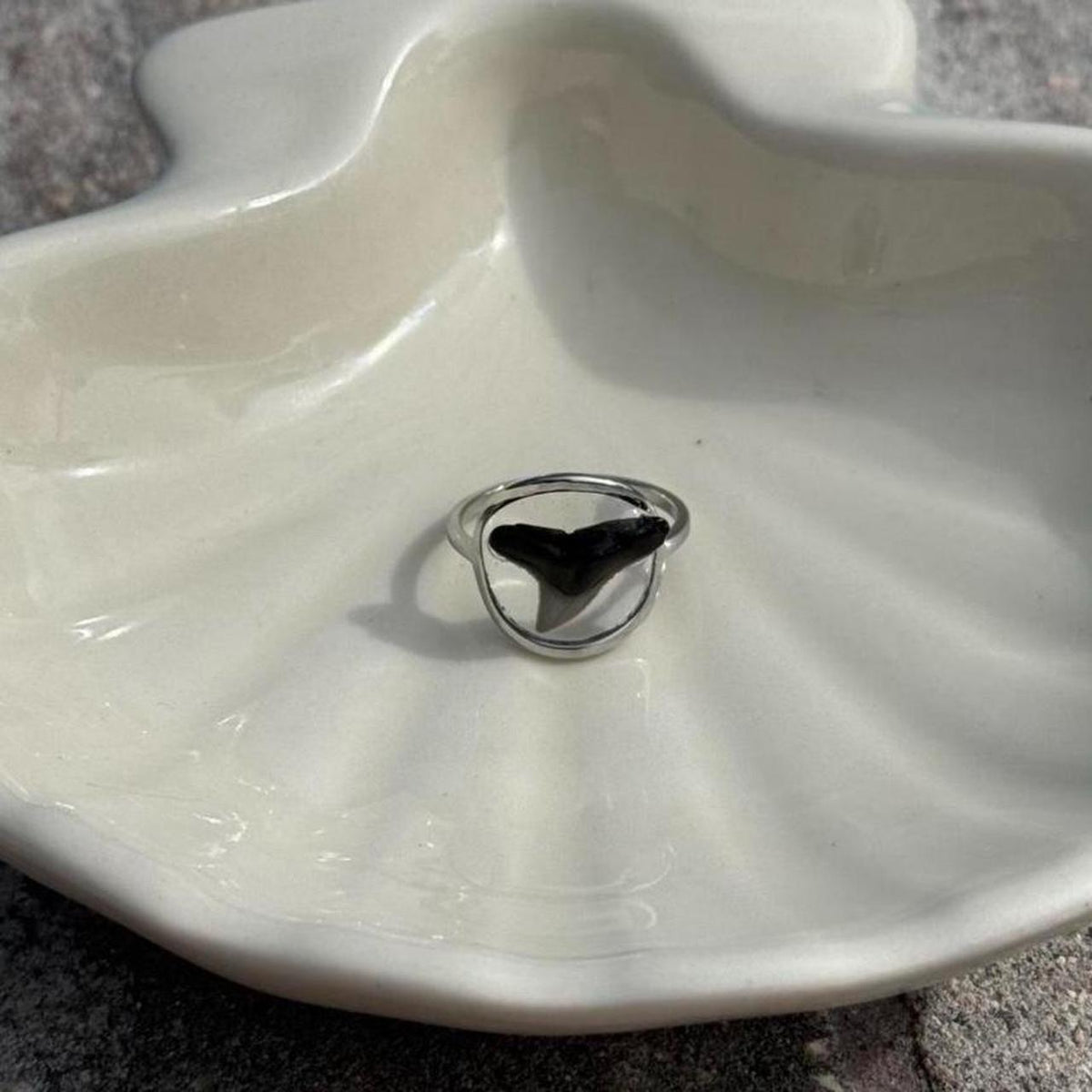 Shark tooth resin ring displayed in natural light