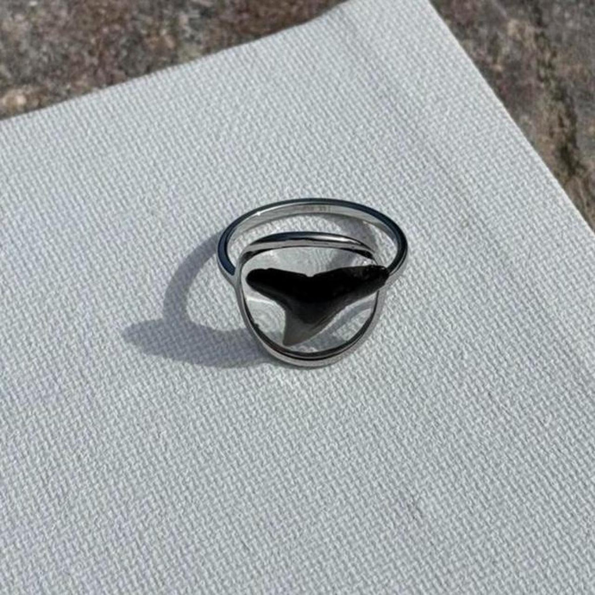 Front view of genuine shark tooth resin ring