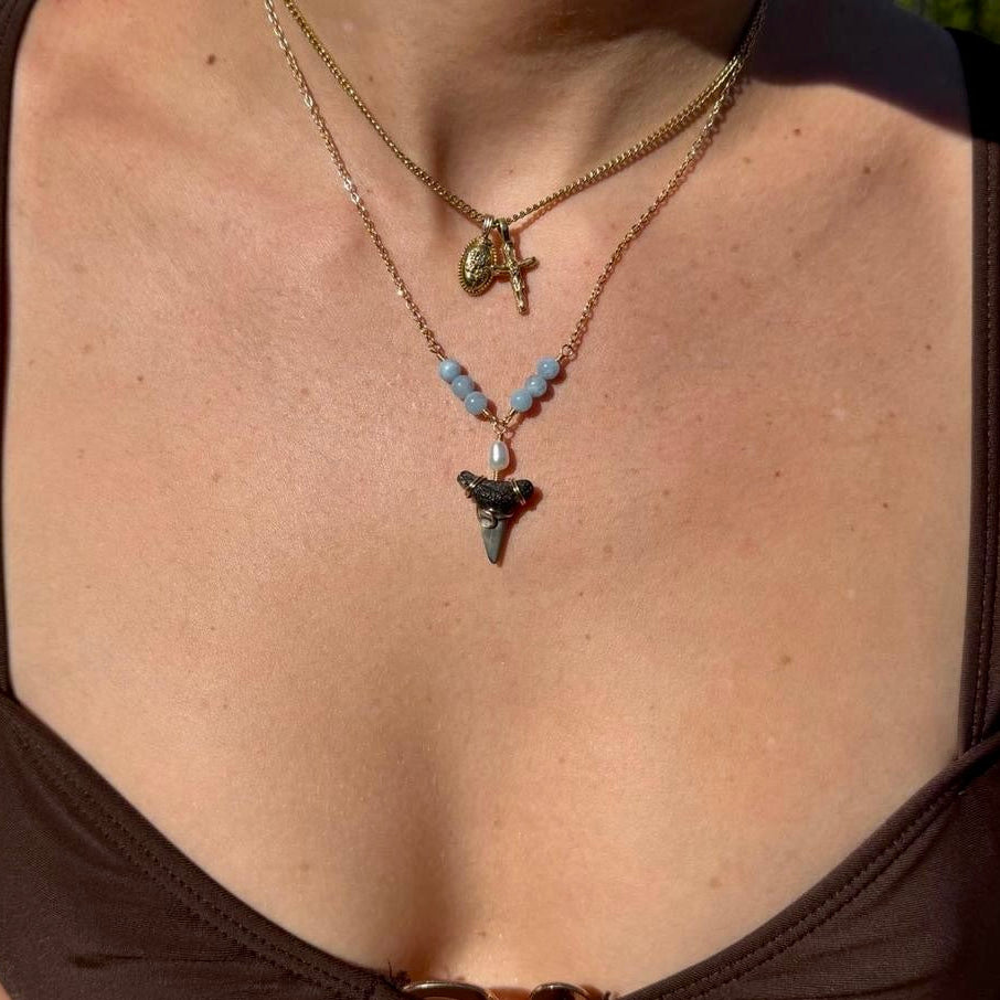 Blue Horizon Shark Tooth Necklace on jewelry display