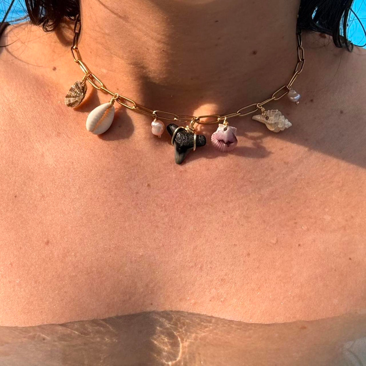 Coastal charm necklace with genuine shark tooth in warm sunlight
